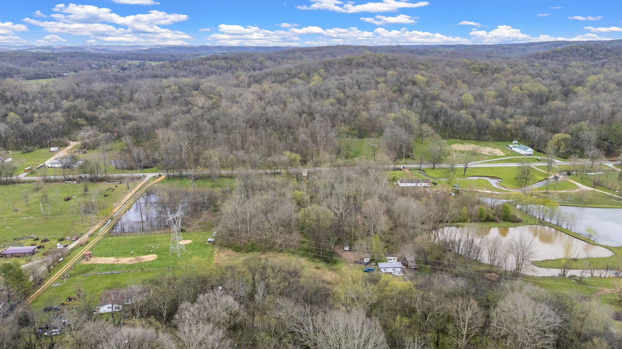 1540 Terrapin Branch Road Mount Pleasant, TN 38474 - Photo 15 of 33 a view of a lake with a yard and mountain view