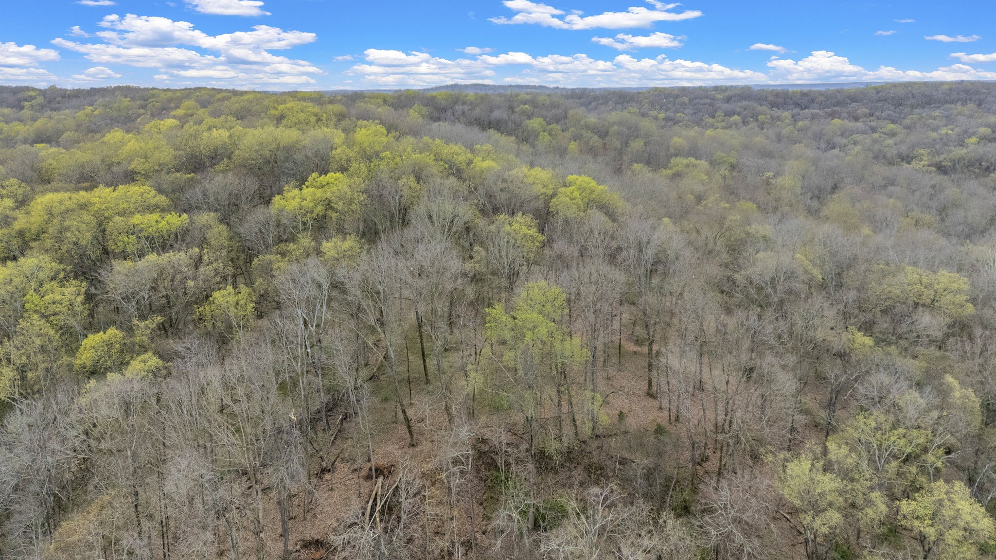 1540 Terrapin Branch Road Mount Pleasant, TN 38474 - Photo 18 of 33