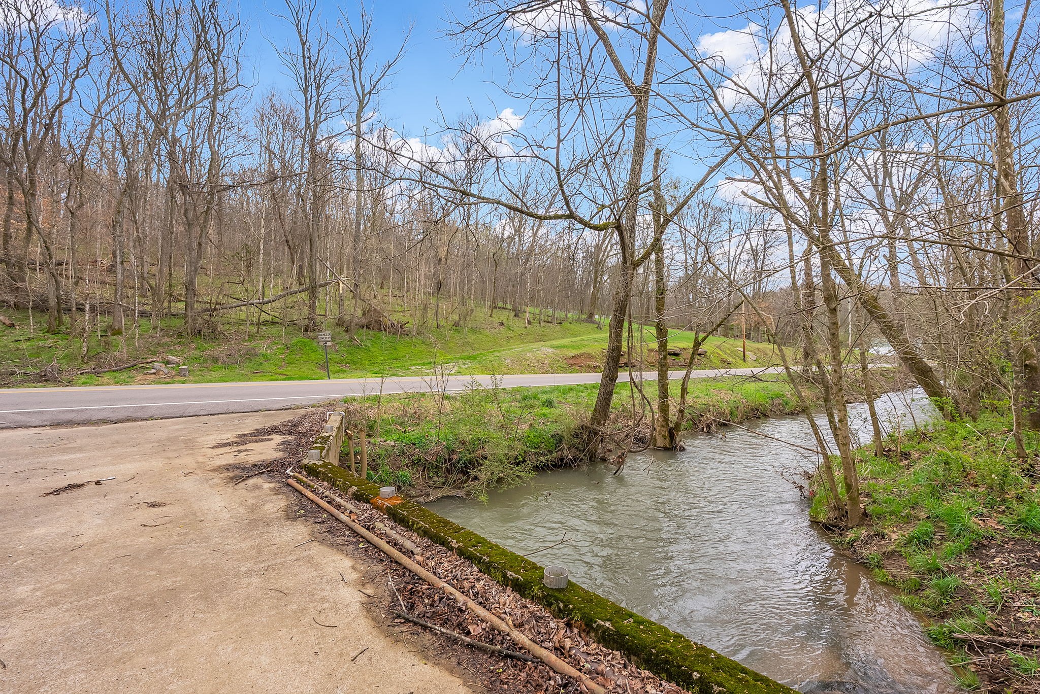 1540 Terrapin Branch Road Mount Pleasant, TN 38474 - Photo 20 of 33 a view of a yard with an tree