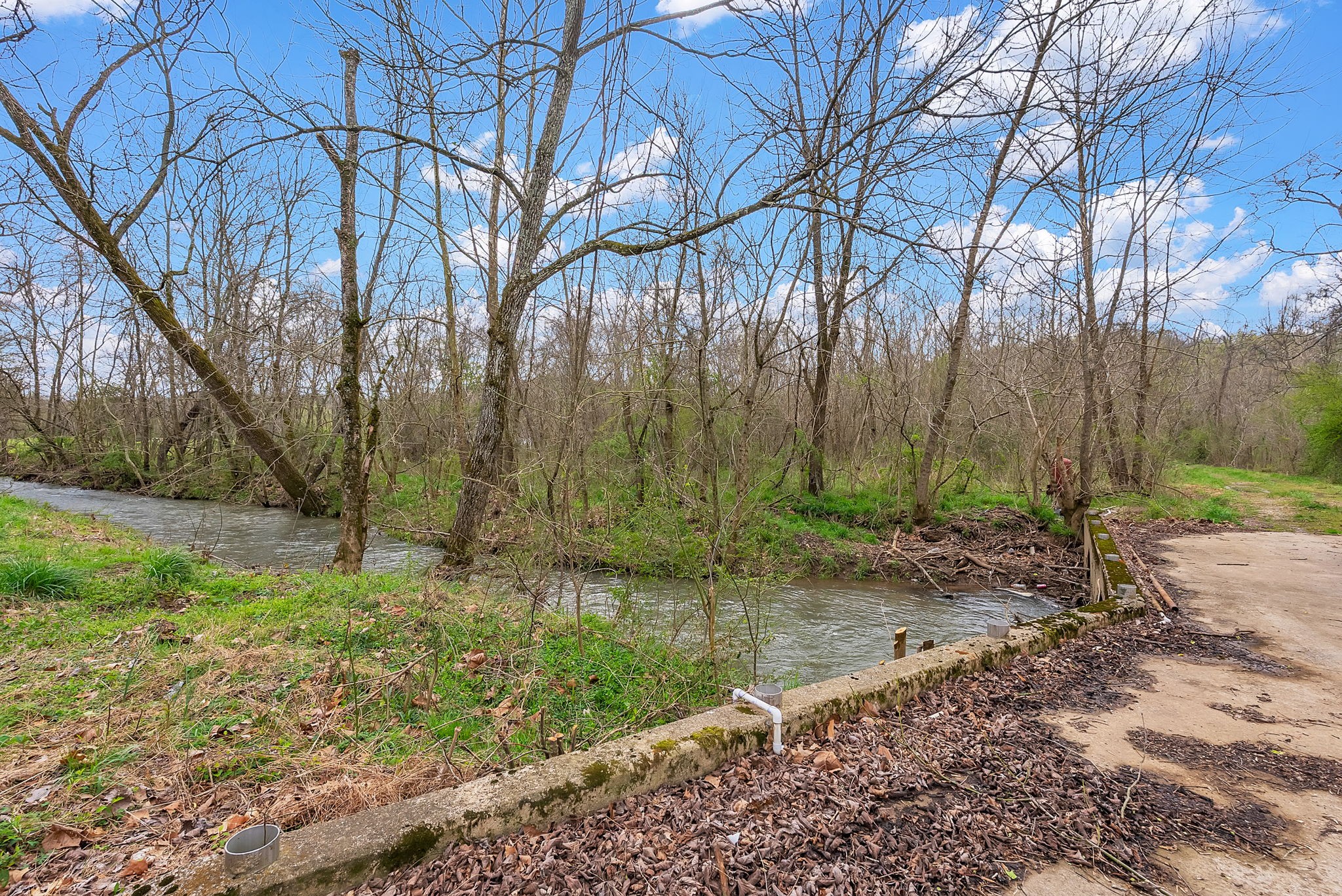 1540 Terrapin Branch Road Mount Pleasant, TN 38474 - Photo 26 of 33 a backyard of a house with lots of green space