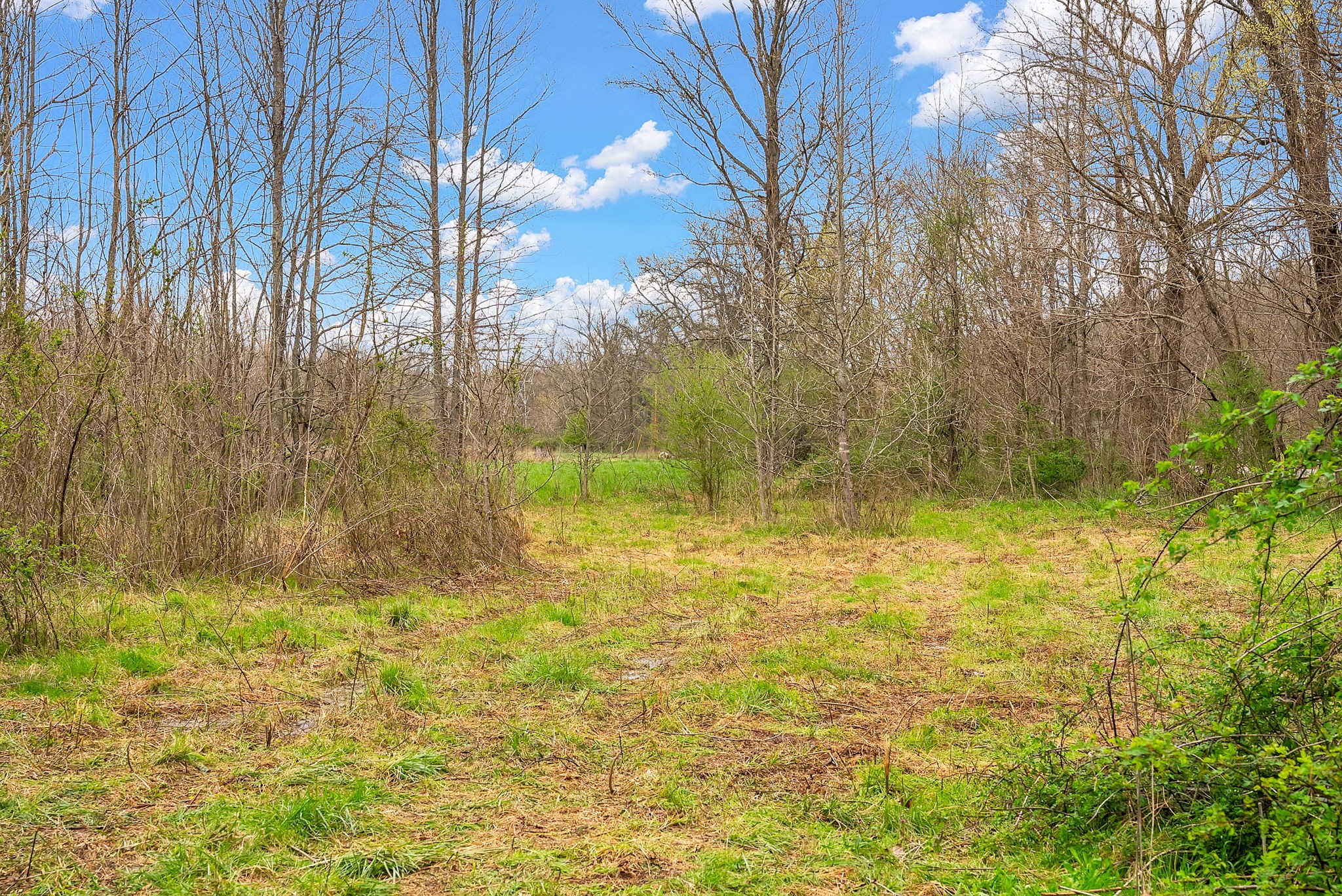 1540 Terrapin Branch Road Mount Pleasant, TN 38474 - Photo 3 of 33 a view of swimming pool with an outdoor space and seating area
