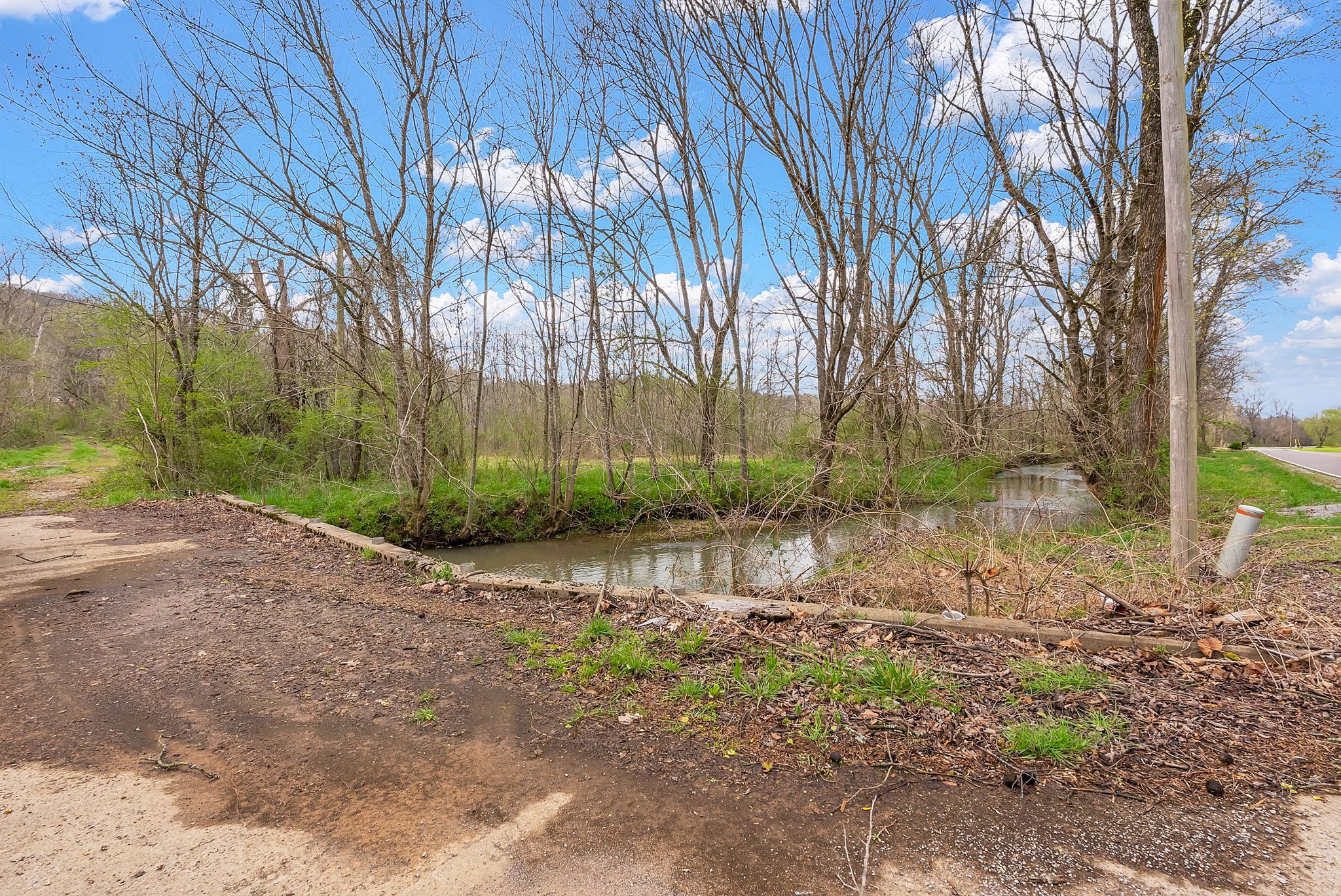 1540 Terrapin Branch Road Mount Pleasant, TN 38474 - Photo 32 of 33 a view of backyard with green space