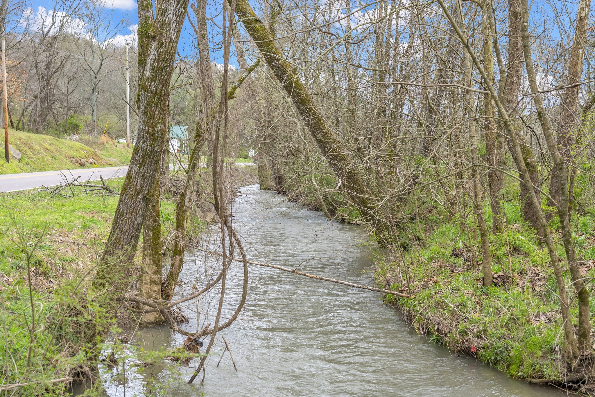 1540 Terrapin Branch Road Mount Pleasant, TN 38474 - Photo 5 of 33 a backyard of a house with lots of green space