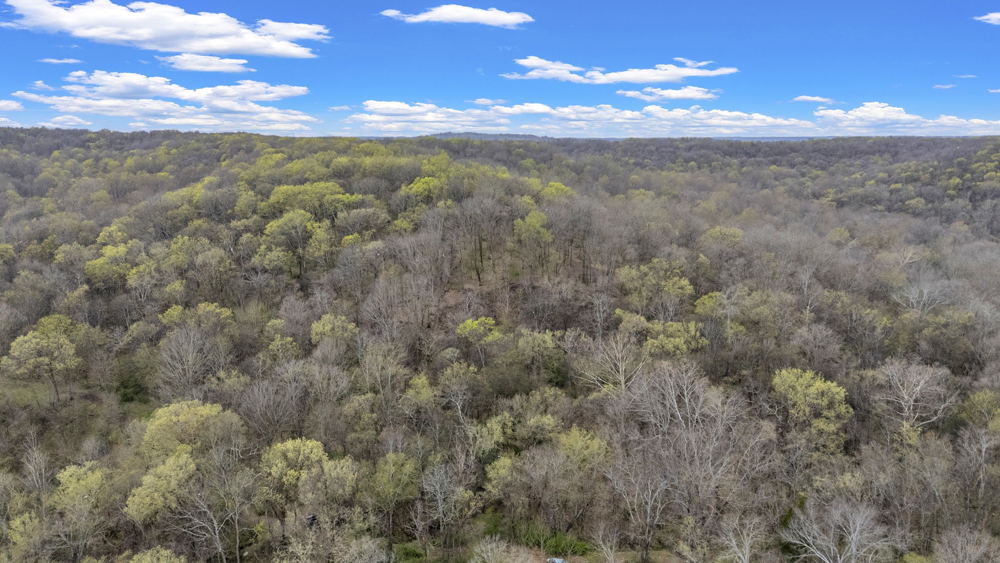 1540 Terrapin Branch Road Mount Pleasant, TN 38474 - Photo 7 of 33 a view of an ocean
