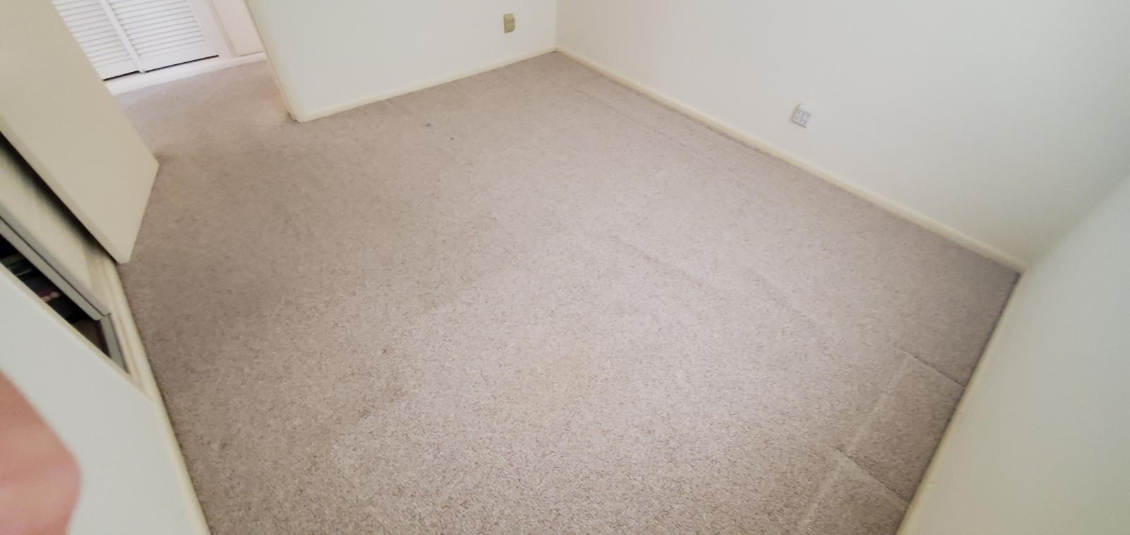 257 Davis Road Palm Springs, FL 33461 - Photo 23 of 58 34. Bedroom 1 carpet 2