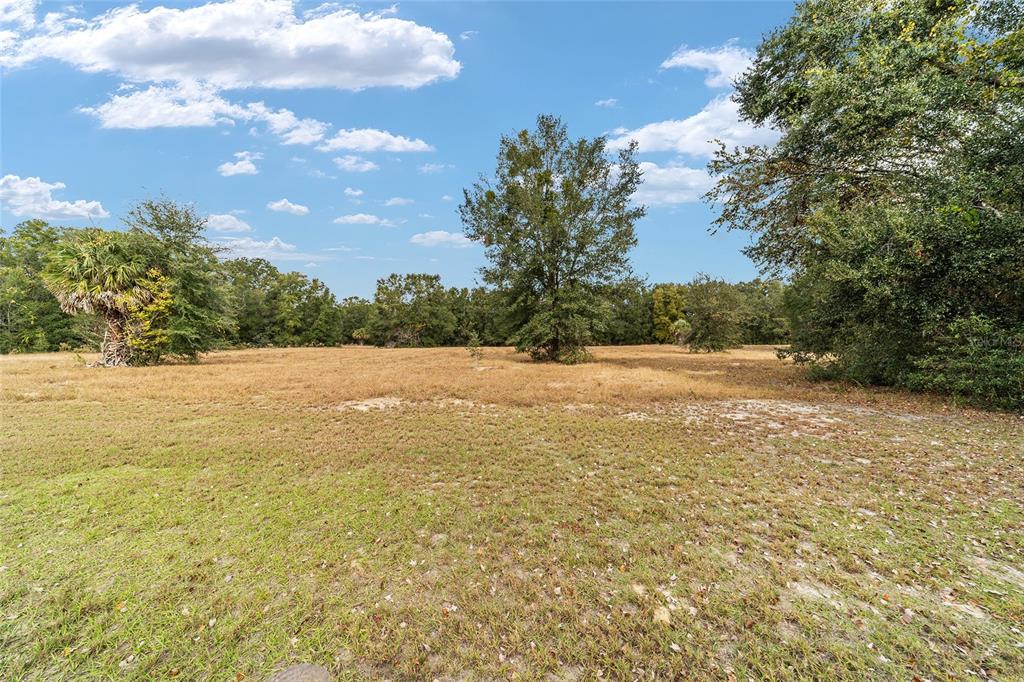 9894 Southeast 138th Loop Summerfield, FL 34491 - Photo 11 of 74