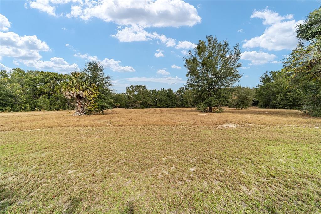 9894 Southeast 138th Loop Summerfield, FL 34491 - Photo 13 of 74