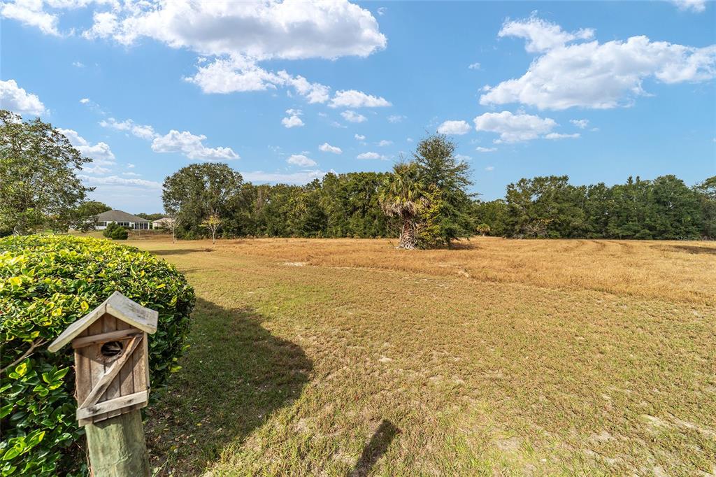 9894 Southeast 138th Loop Summerfield, FL 34491 - Photo 14 of 74