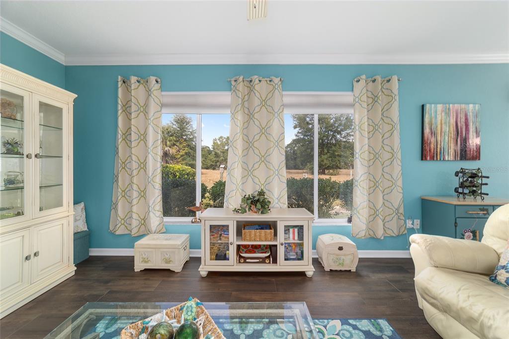 9894 Southeast 138th Loop Summerfield, FL 34491 - Photo 39 of 74