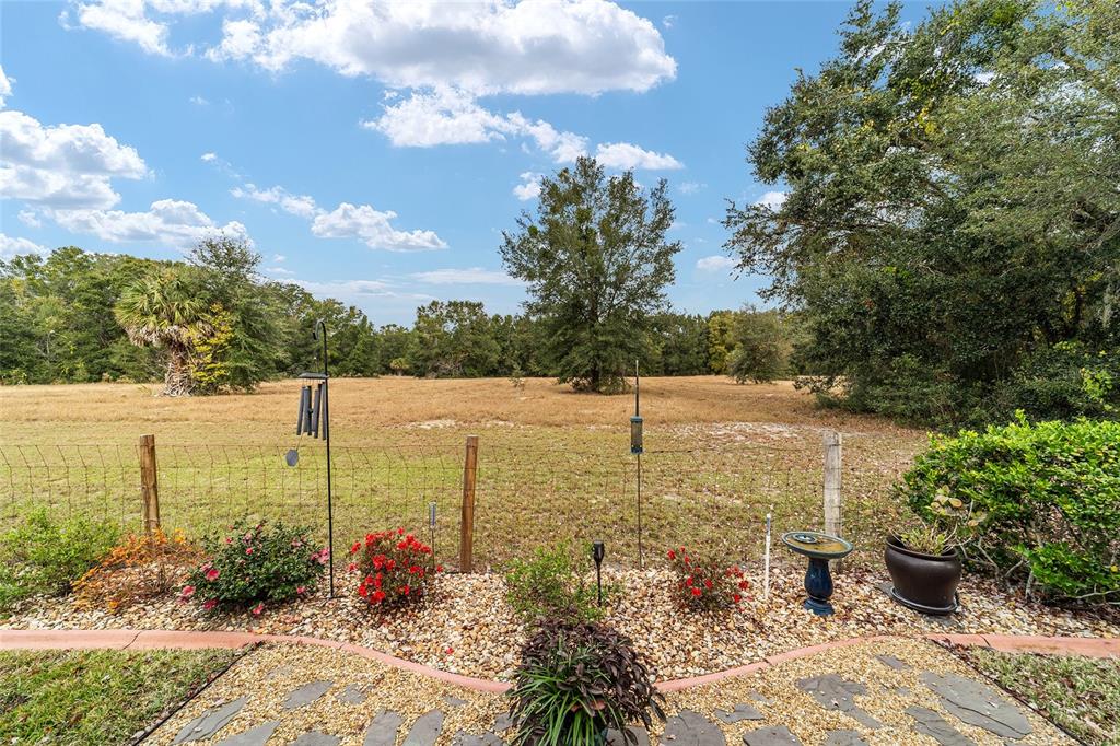 9894 Southeast 138th Loop Summerfield, FL 34491 - Photo 10 of 74