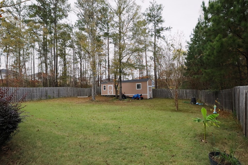 9781 Yellow Pine Road Midland, GA 31820 - Photo 23 of 26 Backyard
