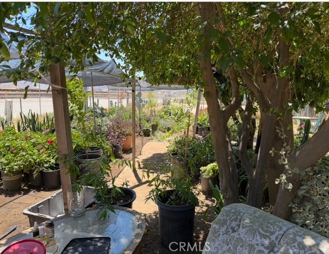26635 Winchester Road Hemet, CA 92545 - Photo 4 of 10 a potted plant sitting in front of a house