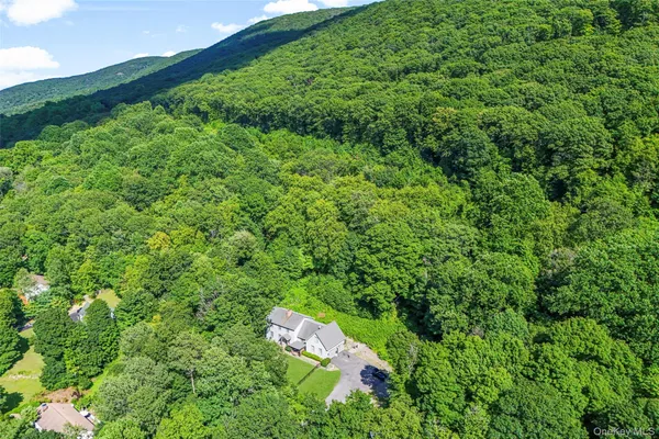 a view of a lush green forest