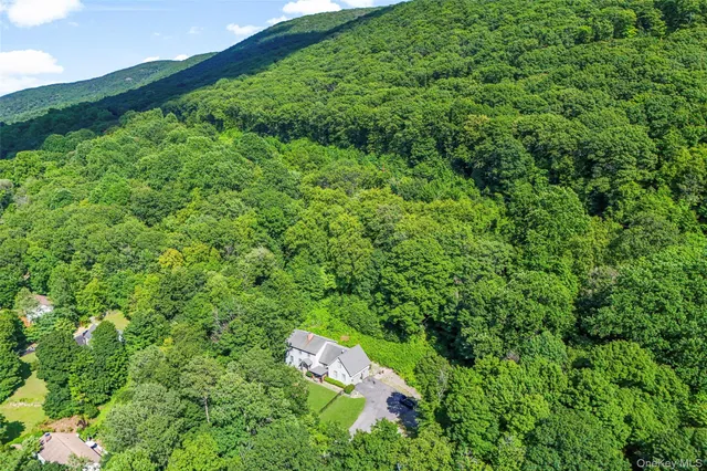 a view of a lush green forest