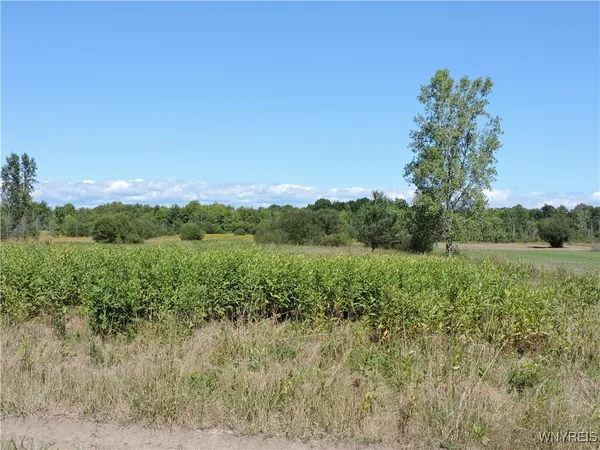 $200,000 | 121 Sturgeon Point Road, Derby, NY 14047