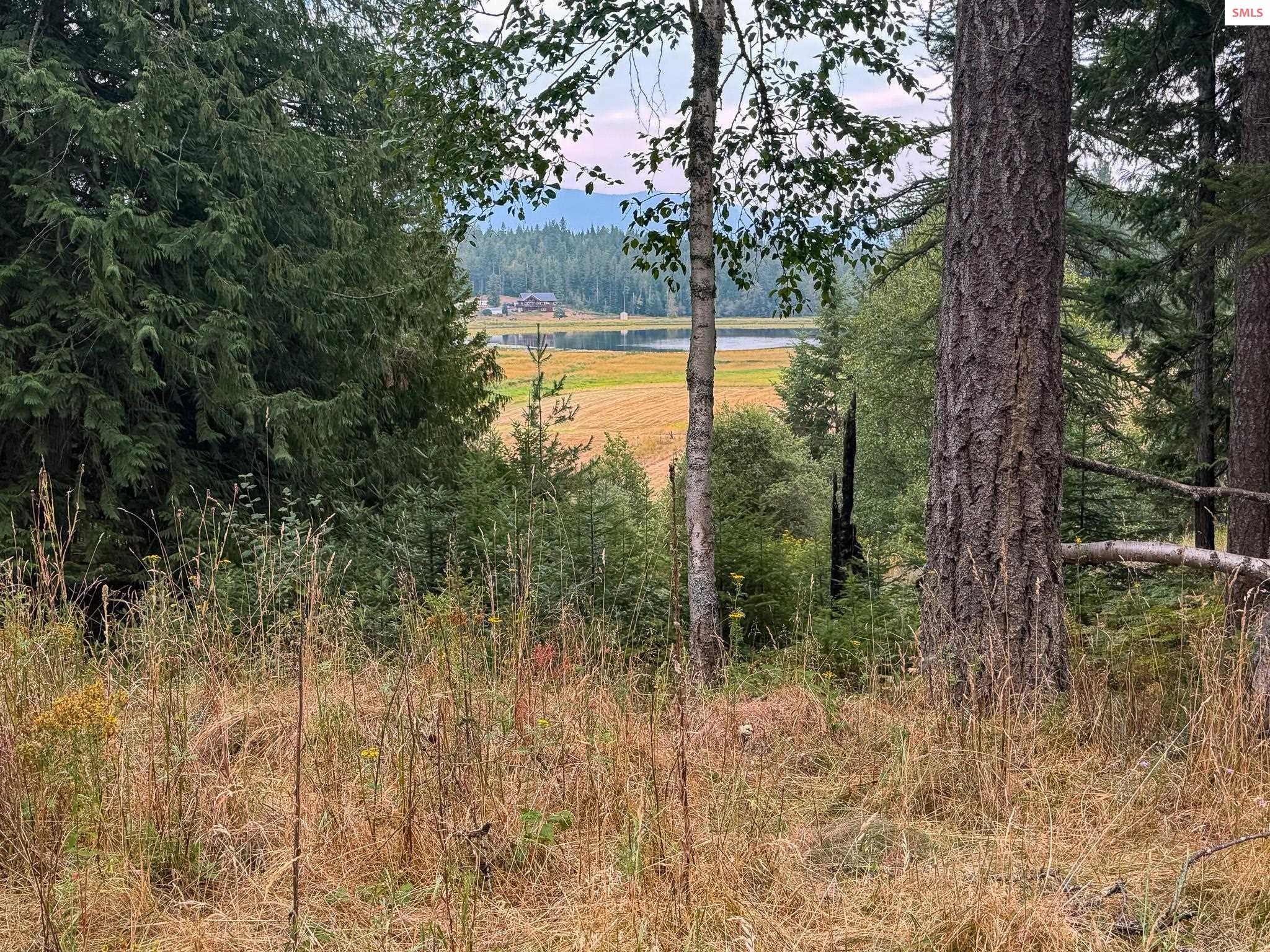 7 Timber Haven Road Sagle, ID 83860 - Photo 10 of 39 Gallery Image 10