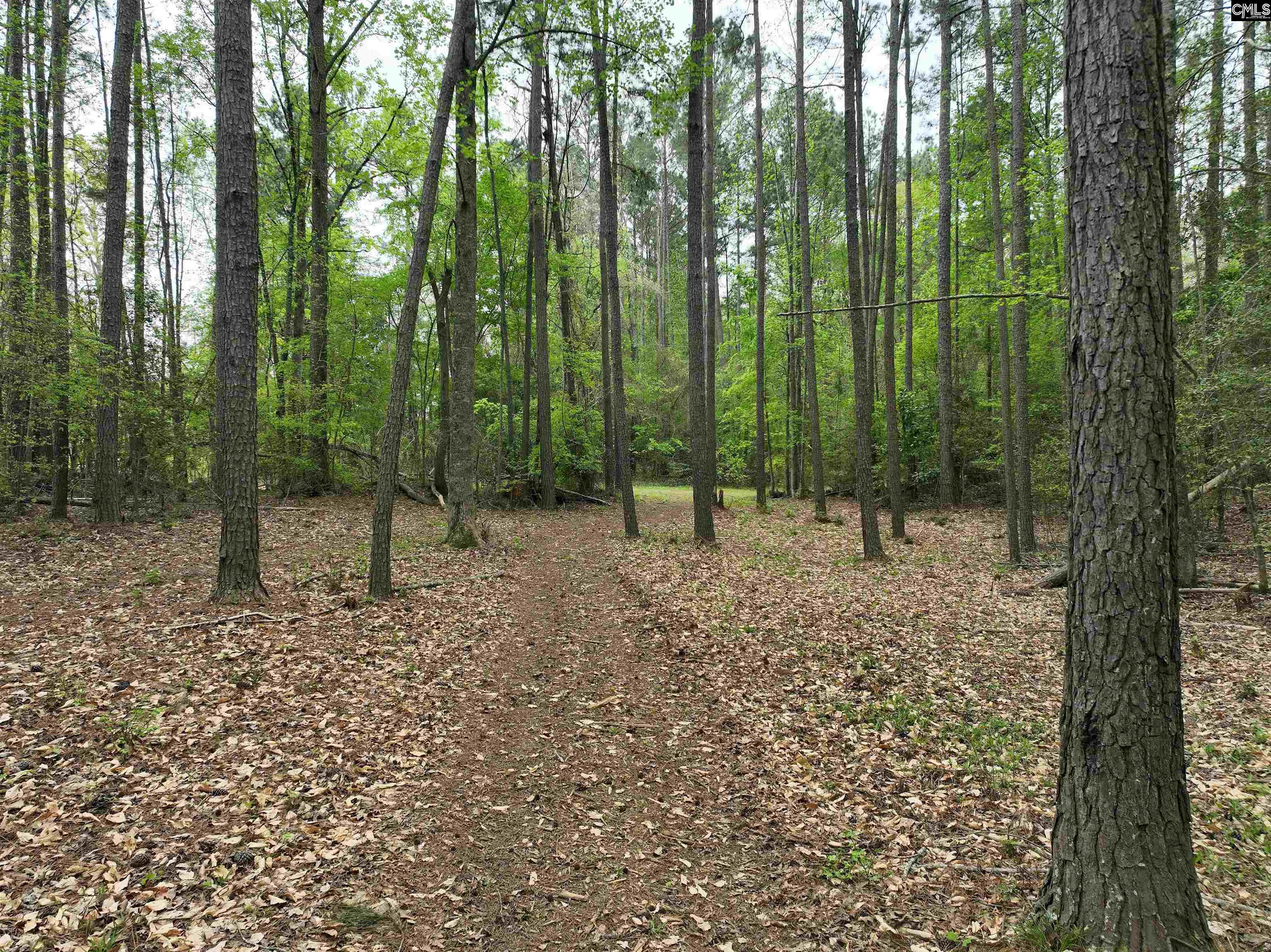Tbd Fannie Black Road Prosperity, SC 29127 - Photo 15 of 28