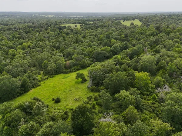 a view of a green field with lots of trees