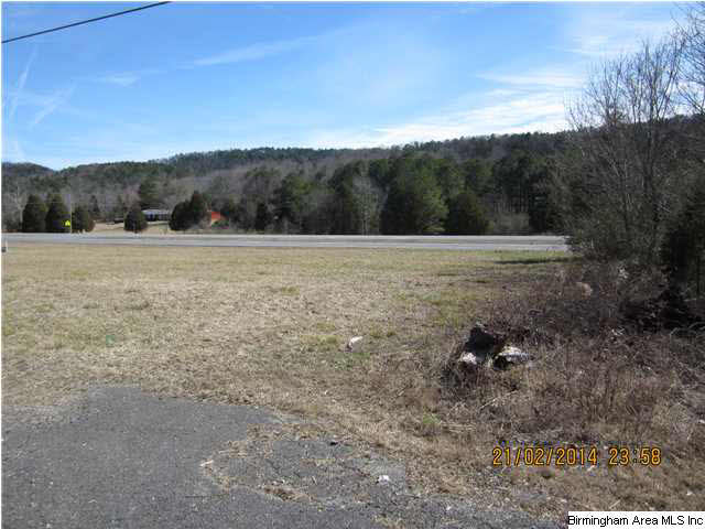 75 Highway 75, Unit 42 Remlap, AL 35133 - Photo 6 of 10