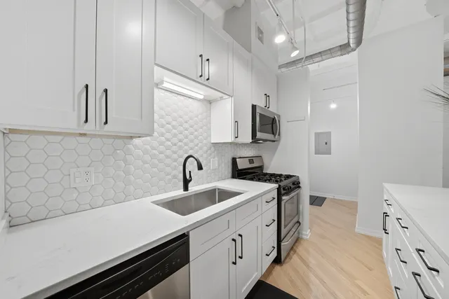 $250,000 | 1307 South Wabash Avenue, Unit 205, Chicago, IL 60605