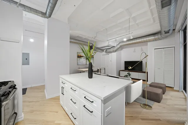 $250,000 | 1307 South Wabash Avenue, Unit 205, Chicago, IL 60605