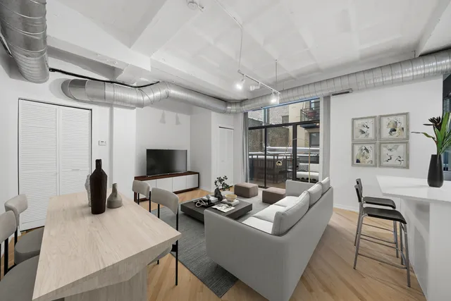 $250,000 | 1307 South Wabash Avenue, Unit 205, Chicago, IL 60605