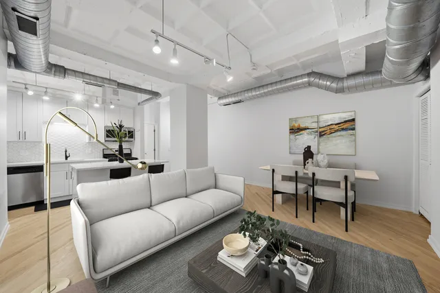 $250,000 | 1307 South Wabash Avenue, Unit 205, Chicago, IL 60605