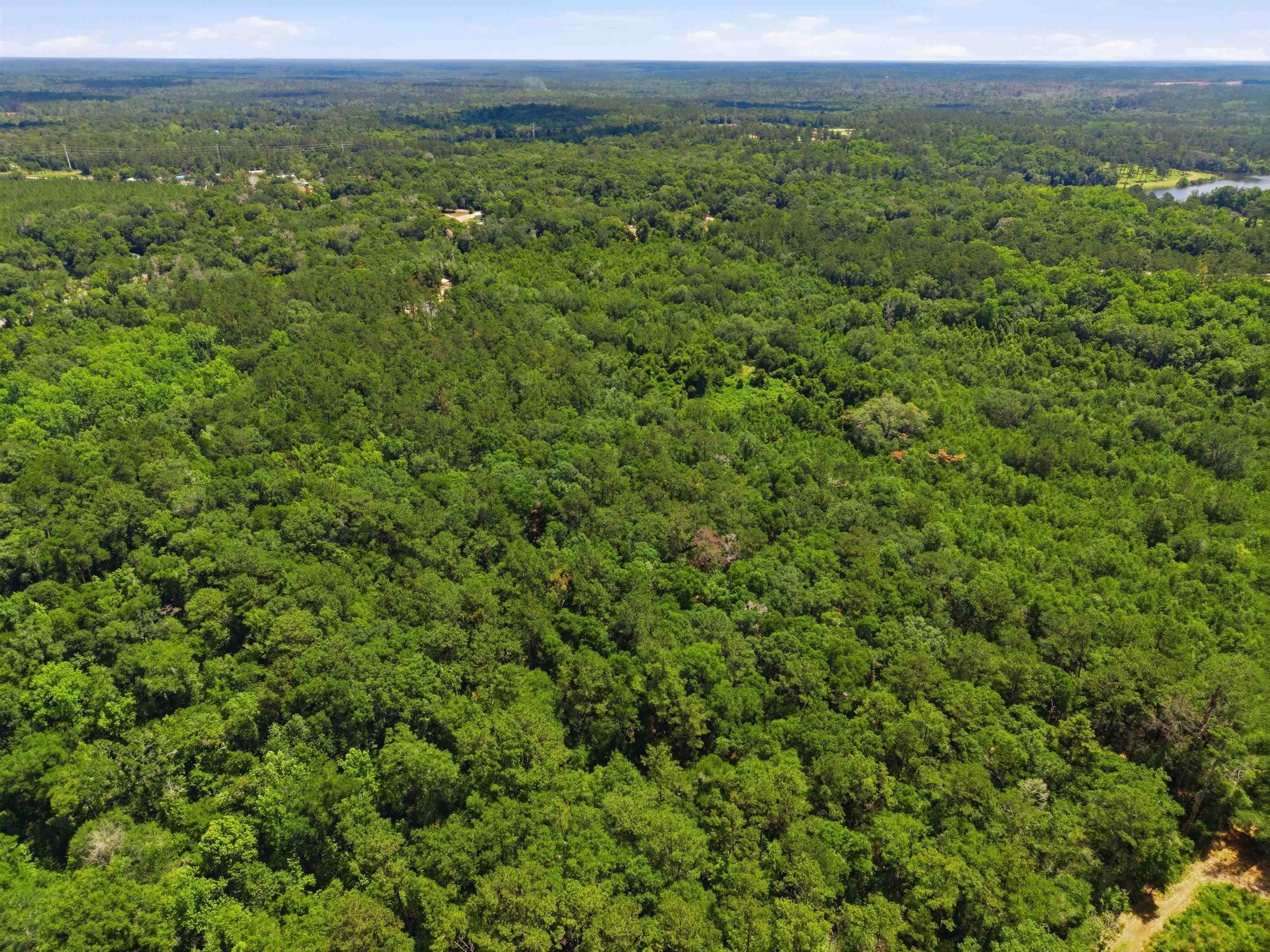 High Bridge Road Quincy, FL 32351 - Photo 14 of 20