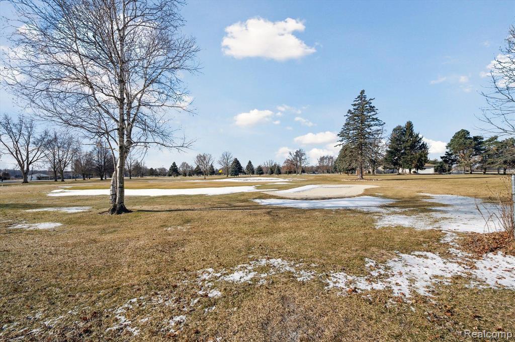 13611 South Custer Road Dundee, MI 48131 - Photo 57 of 64
