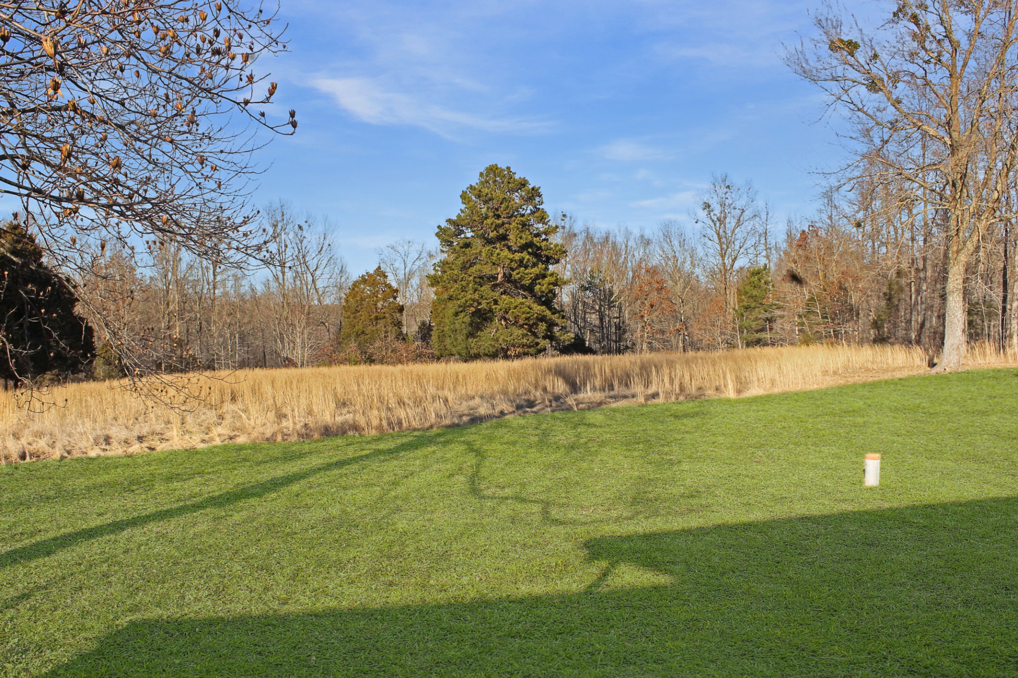 517 Cottrell Ridge Road Dover, TN 37058 - Photo 9 of 18 Gallery Image 9