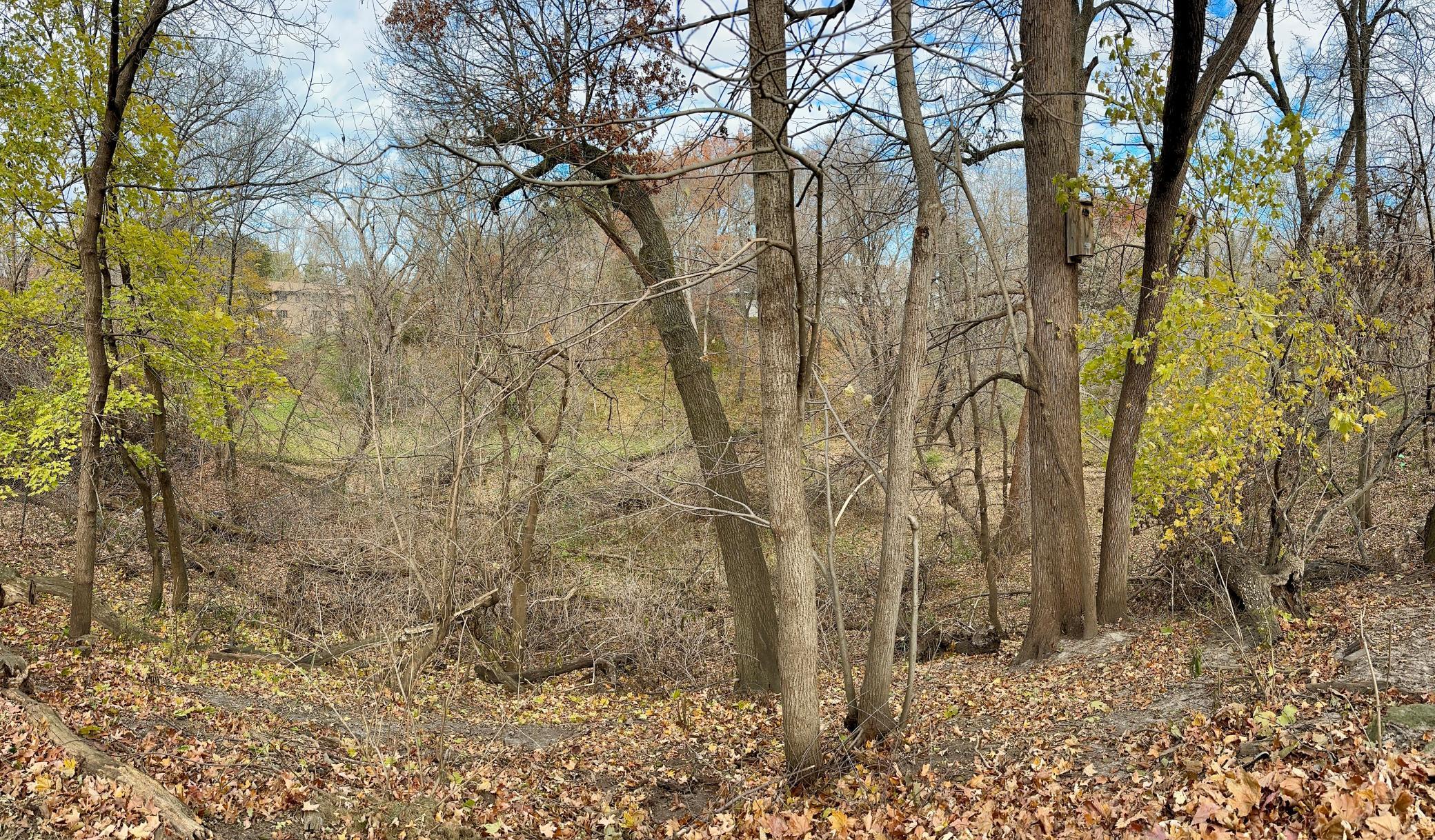 6116 Ridge Drive Woodbury, MN 55125 - Photo 9 of 22