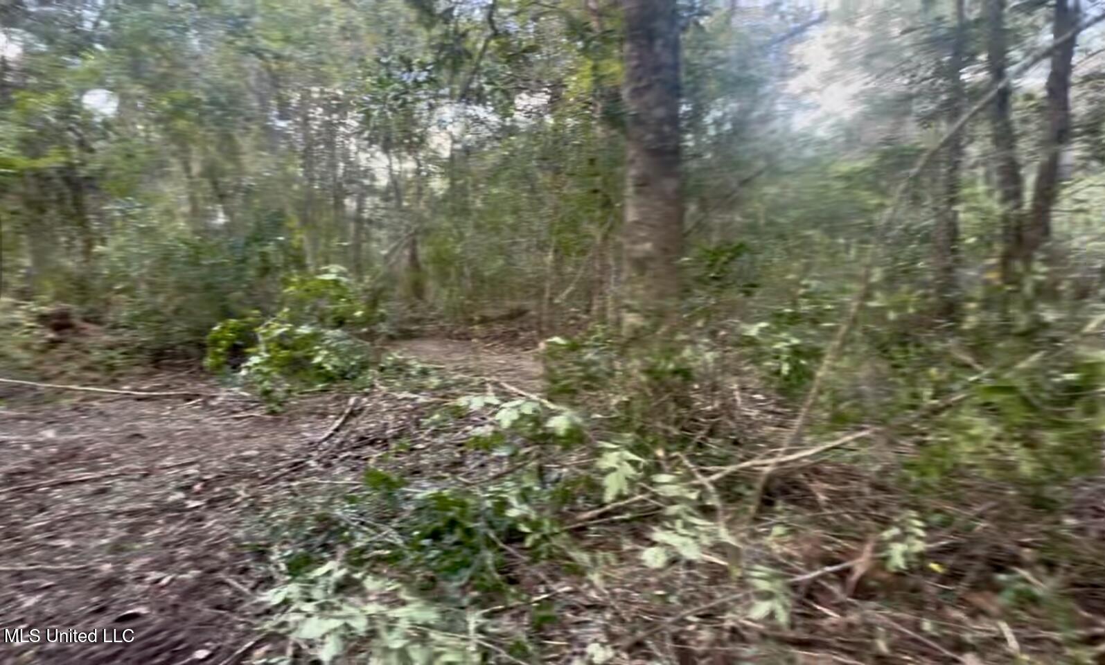 10-ac Donniebrook Lane Moss Point, MS 39562 - Photo 16 of 20 IMG_6478