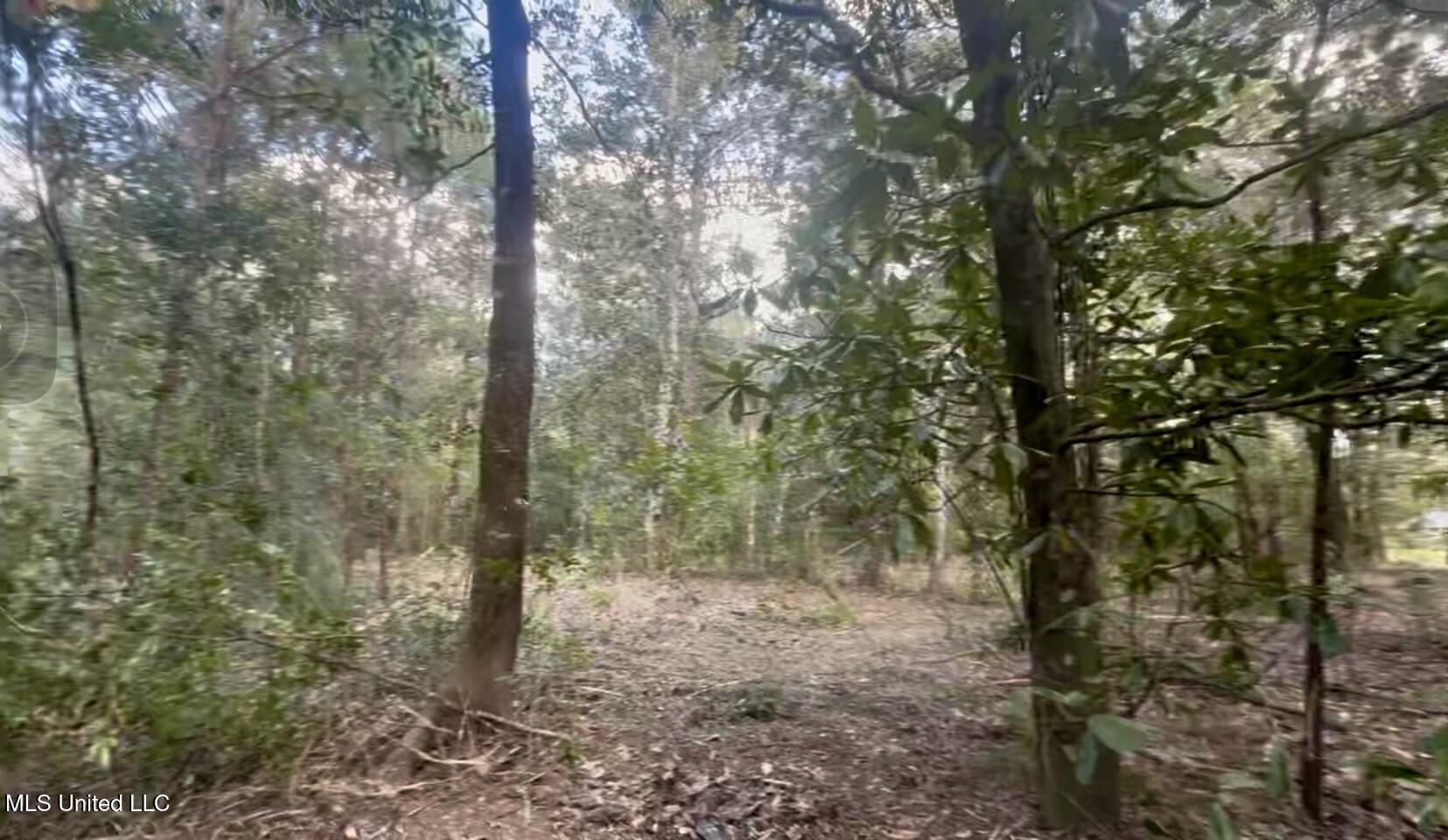 10-ac Donniebrook Lane Moss Point, MS 39562 - Photo 18 of 20 IMG_6482