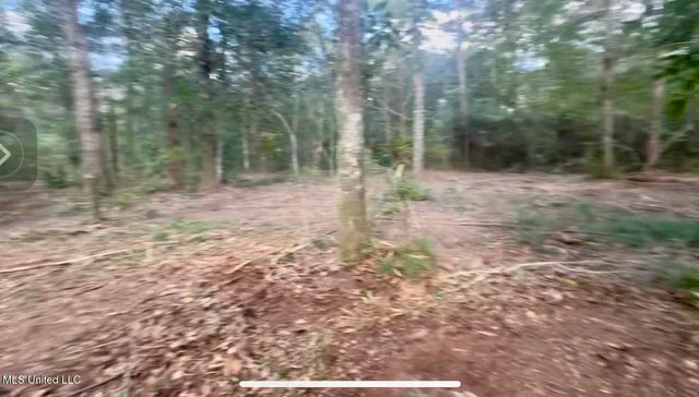 $449,000 | 10-ac Donniebrook Lane, Moss Point, MS 39562