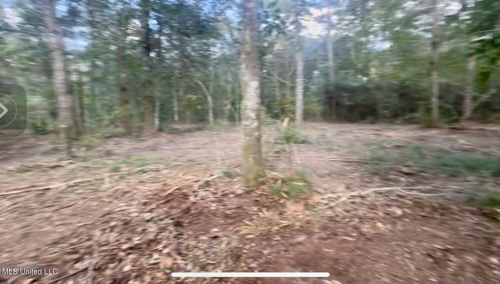 10-ac Donniebrook Lane Moss Point, MS 39562 - Photo 19 of 20 IMG_6483