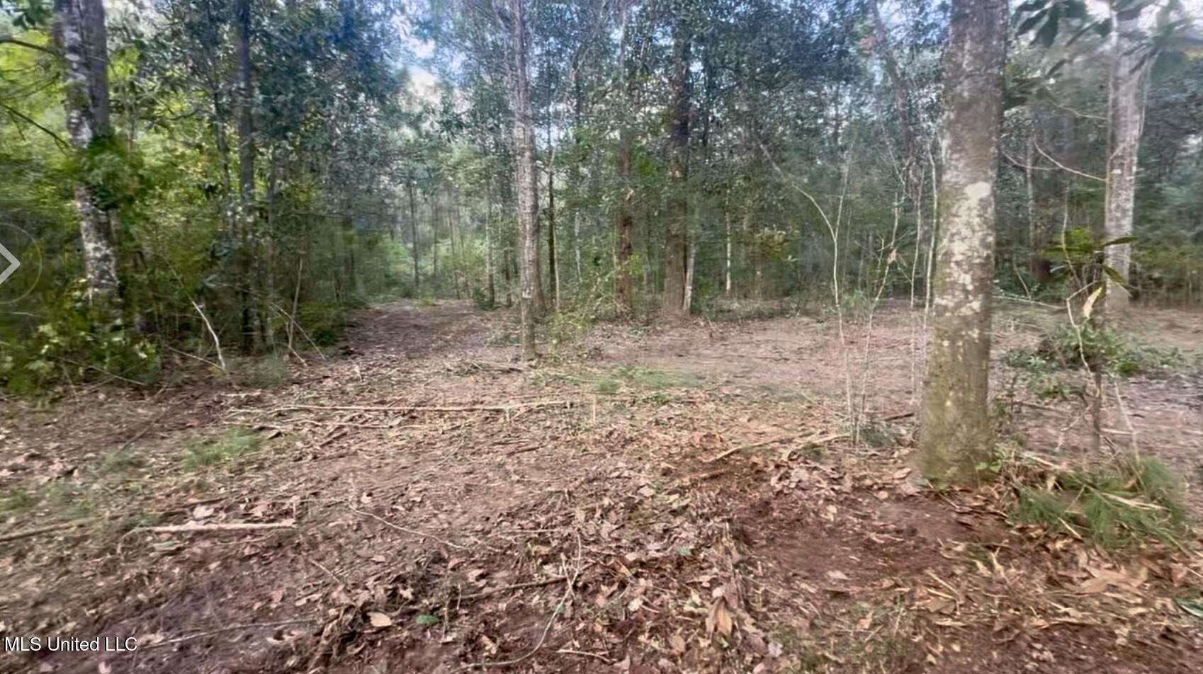 10-ac Donniebrook Lane Moss Point, MS 39562 - Photo 20 of 20 IMG_6484