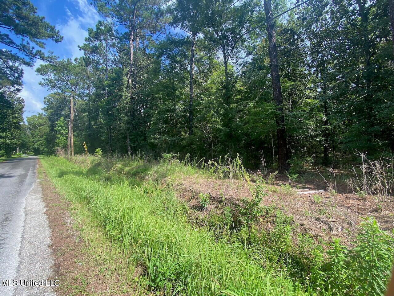10-ac Donniebrook Lane Moss Point, MS 39562 - Photo 8 of 20 20250619134038886833000000-o