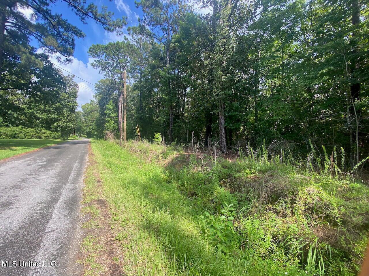 10-ac Donniebrook Lane Moss Point, MS 39562 - Photo 9 of 20 20250619134040361042000000-o