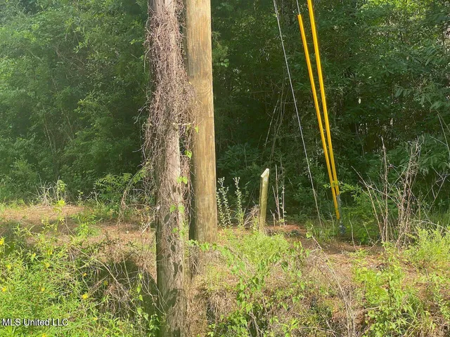 $449,000 | 10-ac Donniebrook Lane, Moss Point, MS 39562