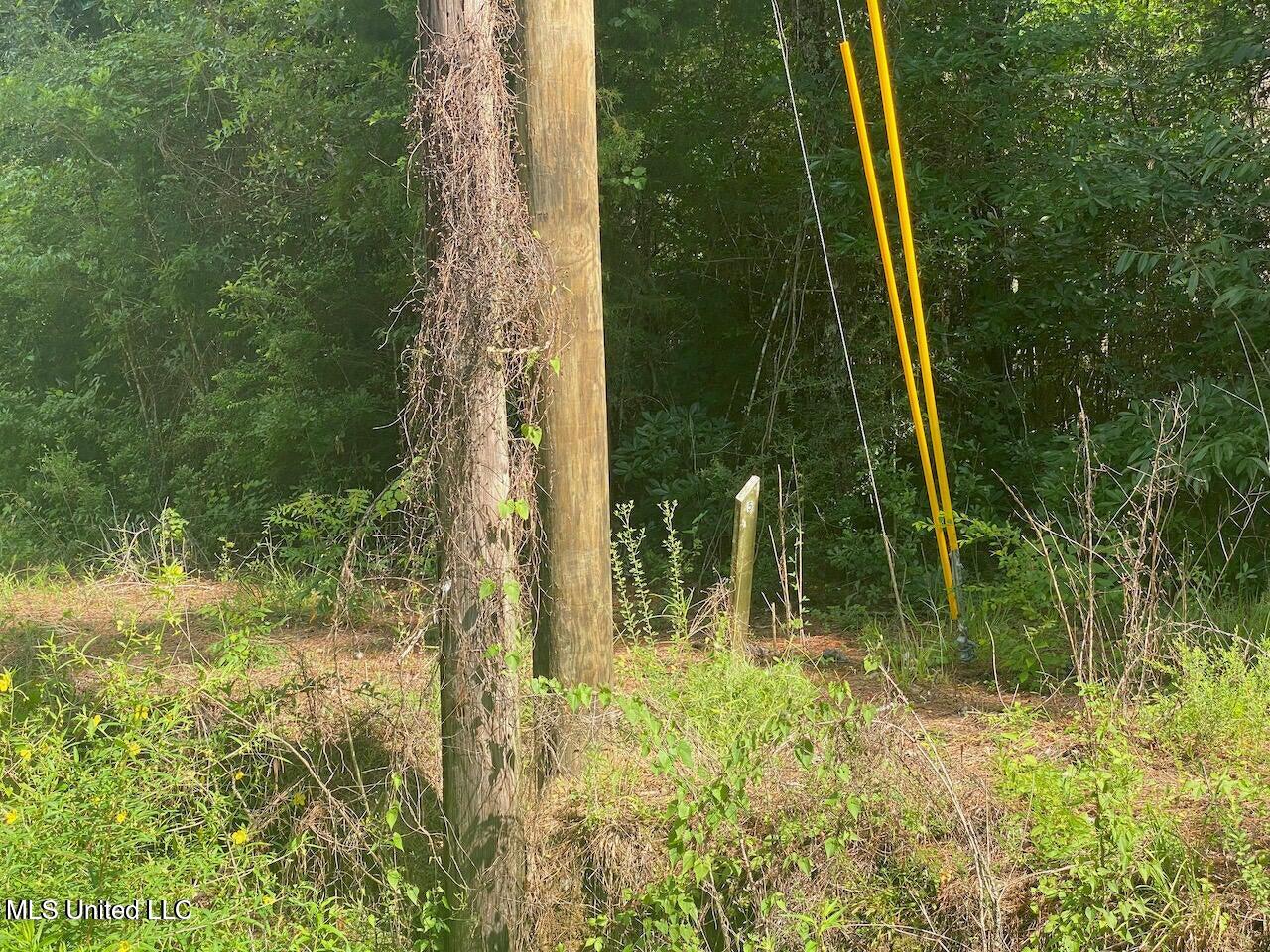 10-ac Donniebrook Lane Moss Point, MS 39562 - Photo 10 of 20 20250619134041747235000000-o