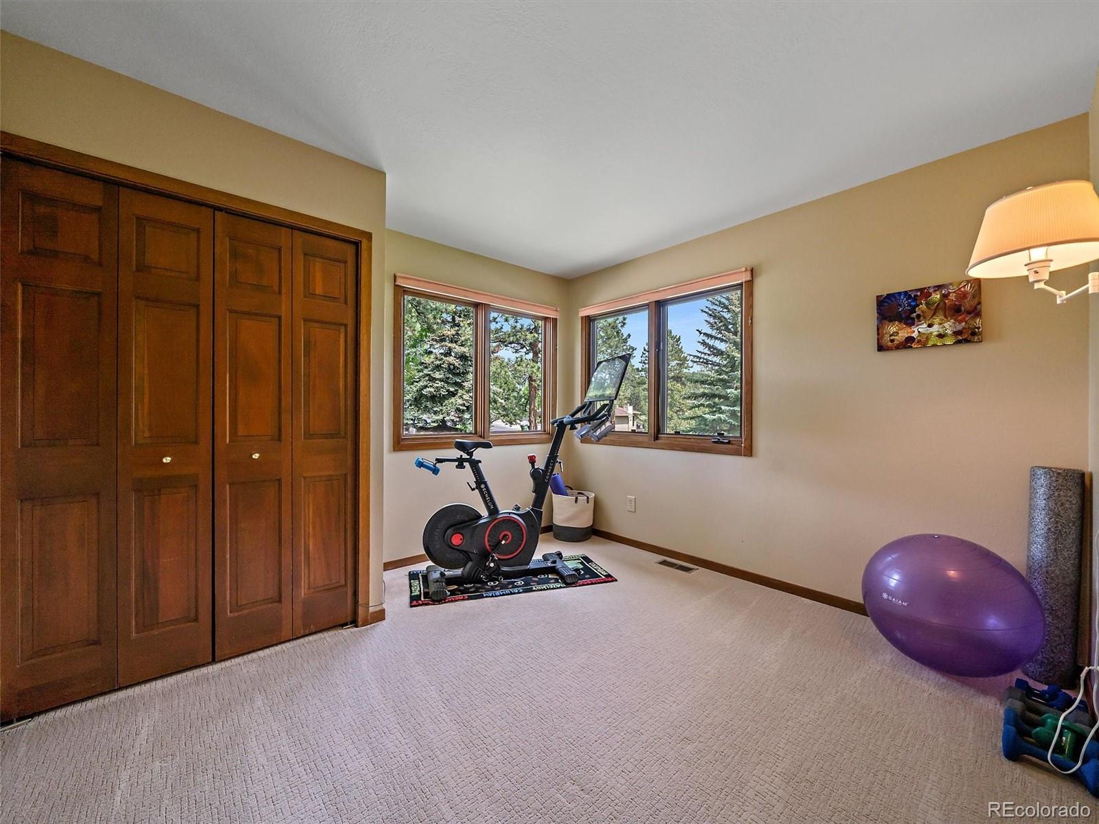 31412 North Bermuda Dunes Drive Evergreen, CO 80439 - Photo 19 of 46 a room with a window and gym equipment
