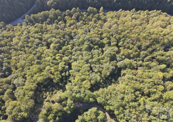 a view of a forest from a window