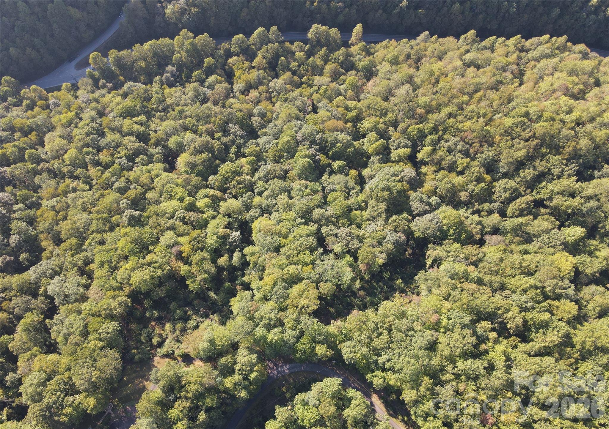 303 Ladd Ridge Road Rosman, NC 28772 - Photo 11 of 32 a view of a bunch of flowers and trees