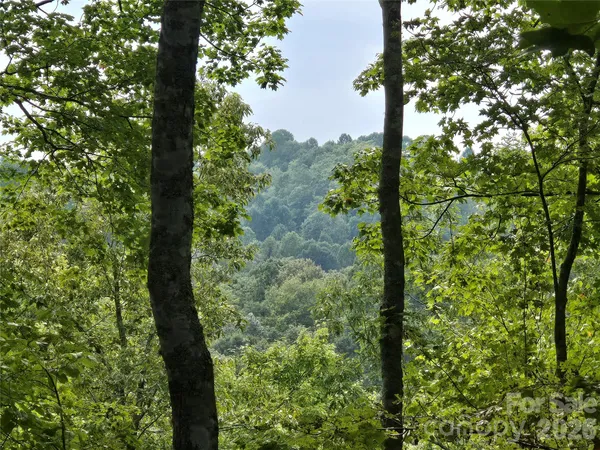 a view of a bunch of trees in a field