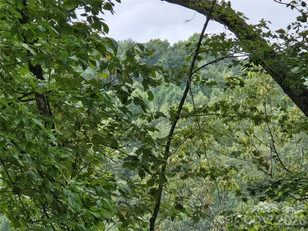 a view of a green field with lots of bushes