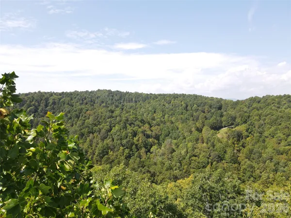 a view of a city with lush green forest