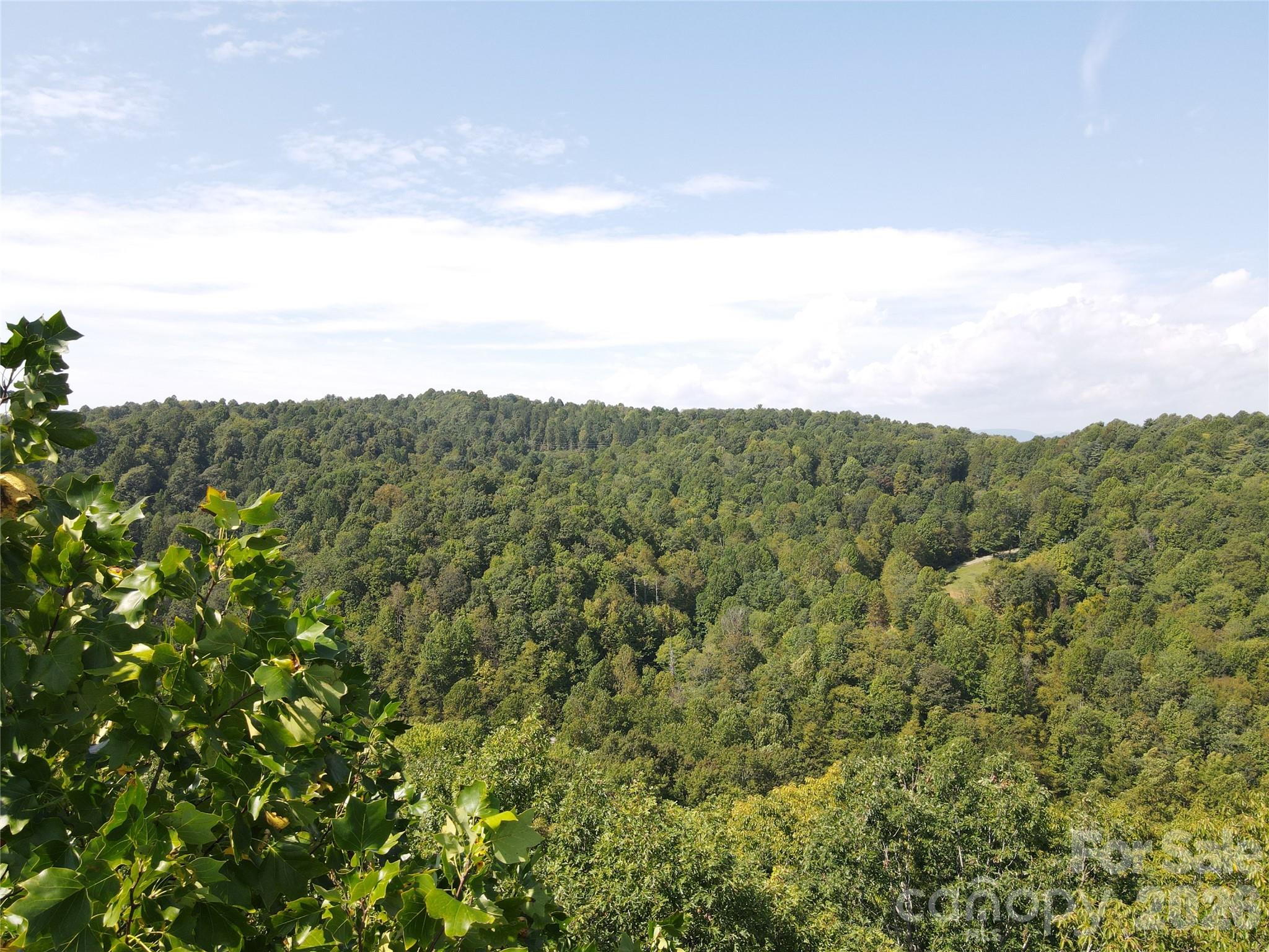 303 Ladd Ridge Road Rosman, NC 28772 - Photo 15 of 32 a view of a bunch of trees in a field