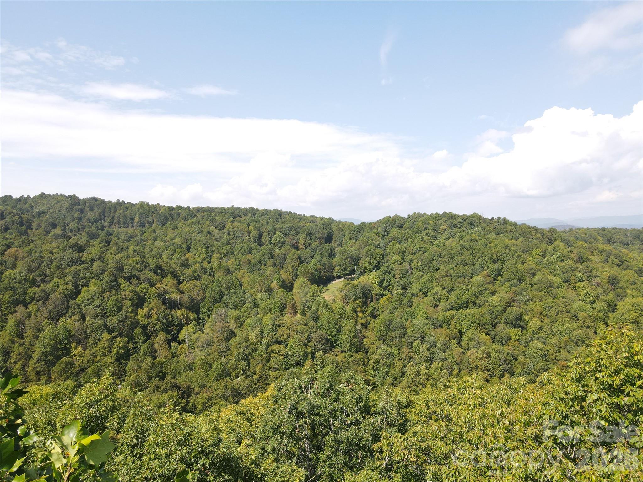 303 Ladd Ridge Road Rosman, NC 28772 - Photo 16 of 32 a view of a green field with lots of bushes