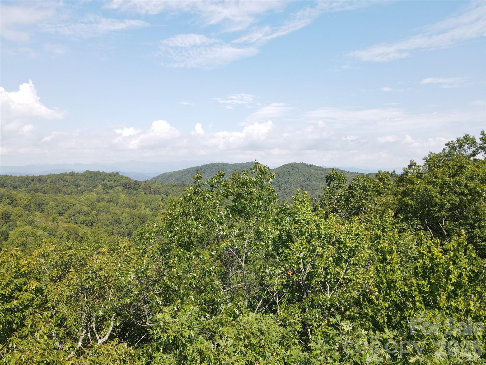 303 Ladd Ridge Road Rosman, NC 28772 - Photo 18 of 32 a view of a bunch of trees and bushes