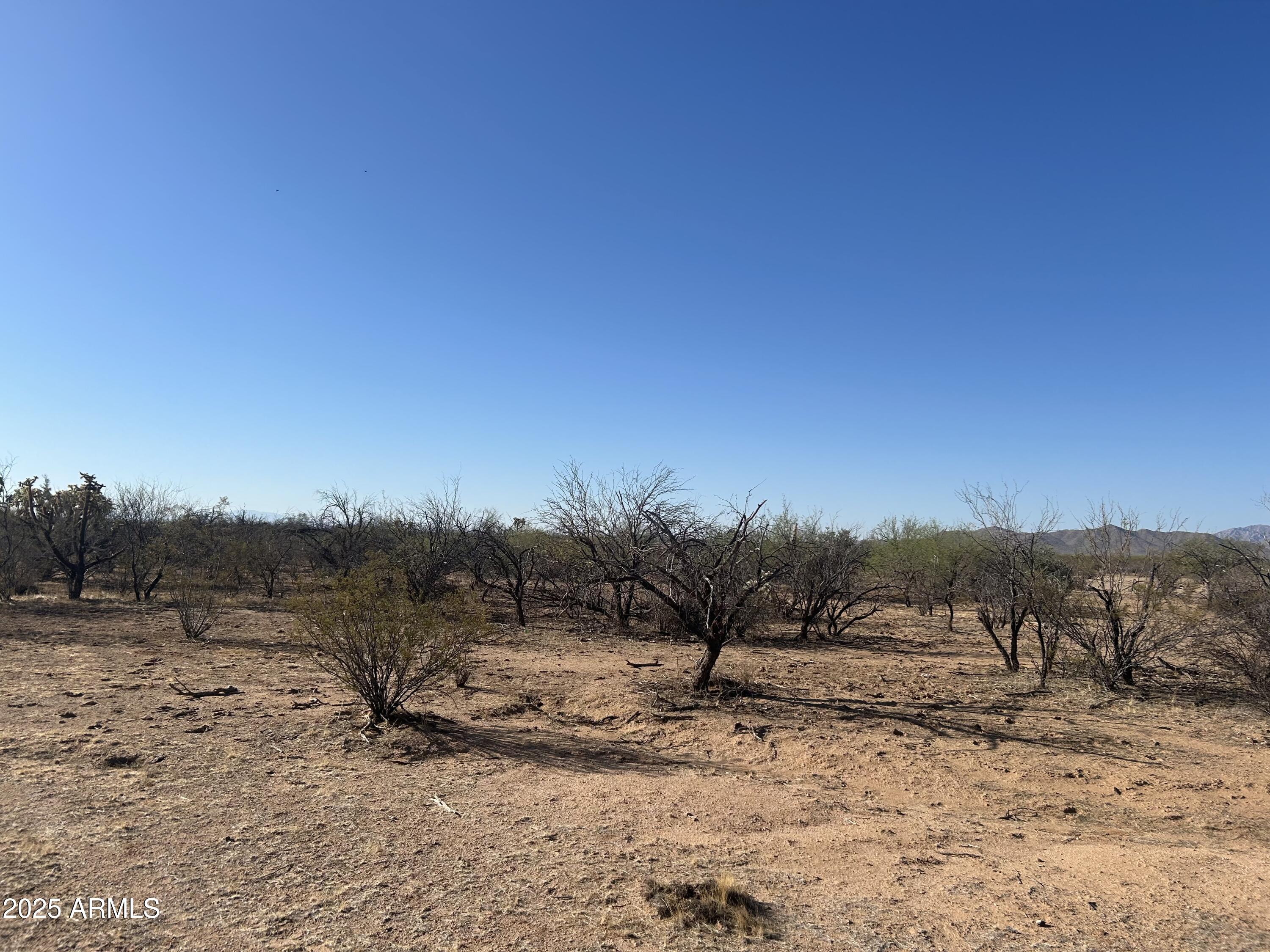 20560 East Desert Hills Road Florence, AZ 85132 - Photo 12 of 12 IMG_0793